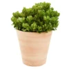 Pot Vaso lisse D40x H40