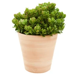 Pot Vaso lisse D40x H40