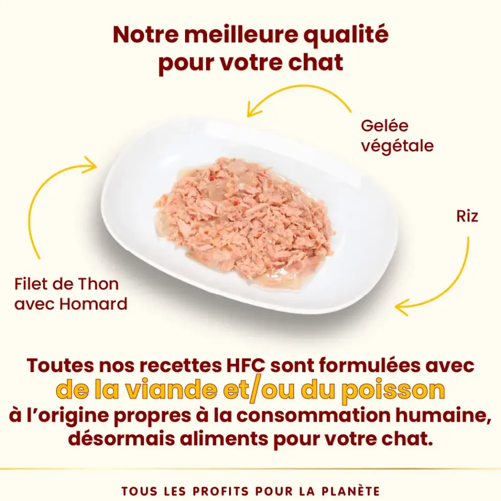 Pâtée pour chat HFC Jelly au filet de thon et homard Almo Nature - 55 g