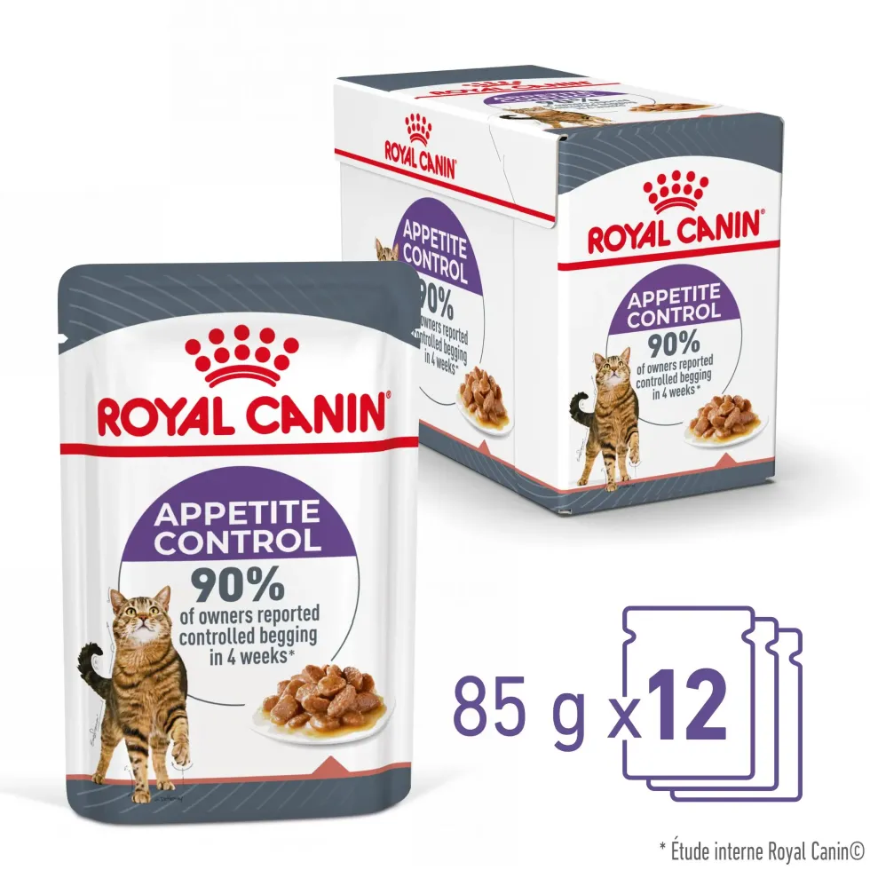Pâtées pour chat en gelée Royal Canin Appetite Control Care - 12 x 85 g