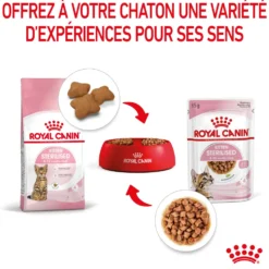 Pâtées pour chaton émincés en sauce Royal Canin Kitten Sterilised - 12 x 85 g