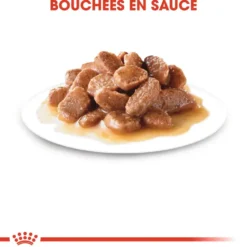 Pâtées pour chat senior émincés en sauce Royal Canin Ageing +12 - 12 x 85 g