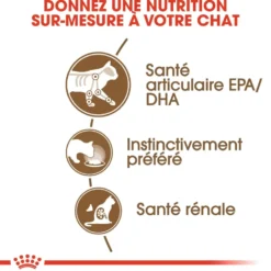 Pâtées pour chat senior émincés en sauce Royal Canin Ageing +12 - 12 x 85 g
