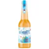 Pétillant La guingette pomme fleur de sureau bio Le Coq toqué - Bouteille 33 cl