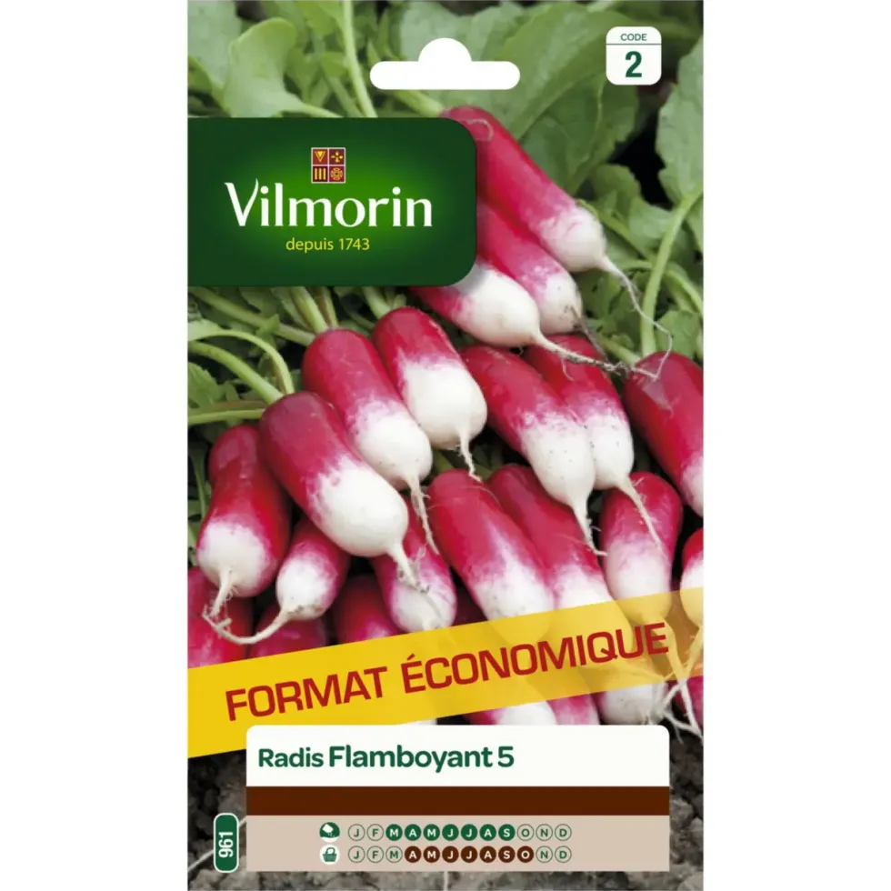Radis flamboyant 5 Vilmorin - graines à semer