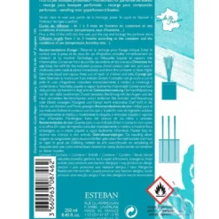 Recharge Ylang-Ylang pour bouquets parfumés Esteban - 250 ml