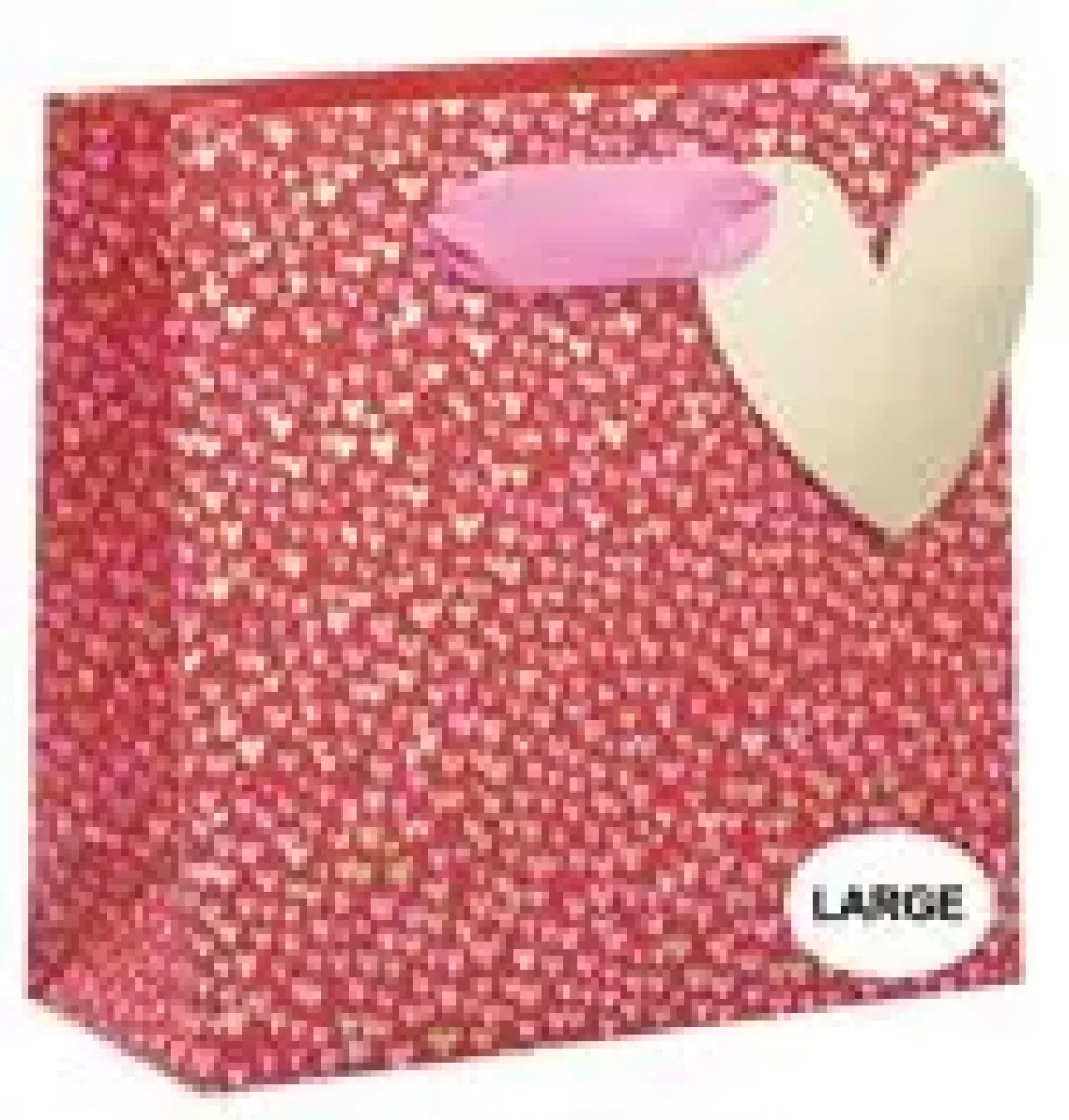 Sac à cadeaux rouge grand modèle Pictura