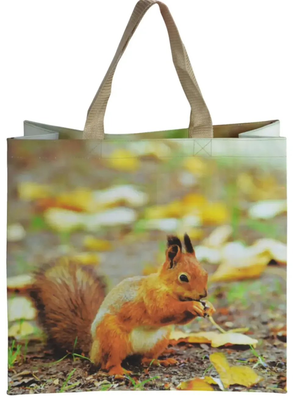 Sac de courses illustration nature au printemps - 39,5 x 14,5 x 40 cm