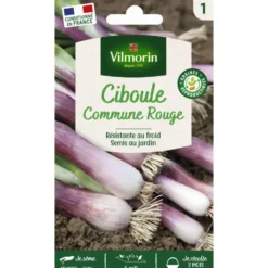 Sachet de graines de ciboule commune rouge