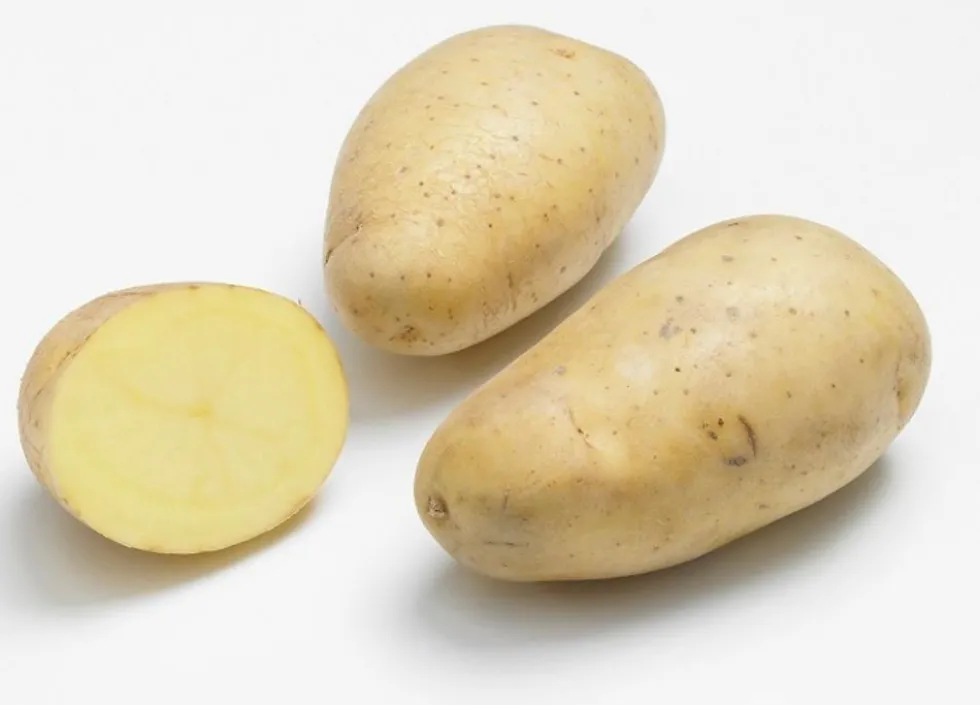 Sachet de pommes de terre monalisa calibre 28/35 - 3 kg