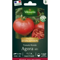 Sachet de semences potagères graines de tomate Agora Graines d'Exception