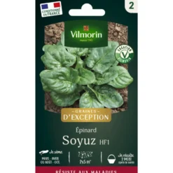 Sachet de semences potagères graines d'épinard Soyuz HF1 VL2