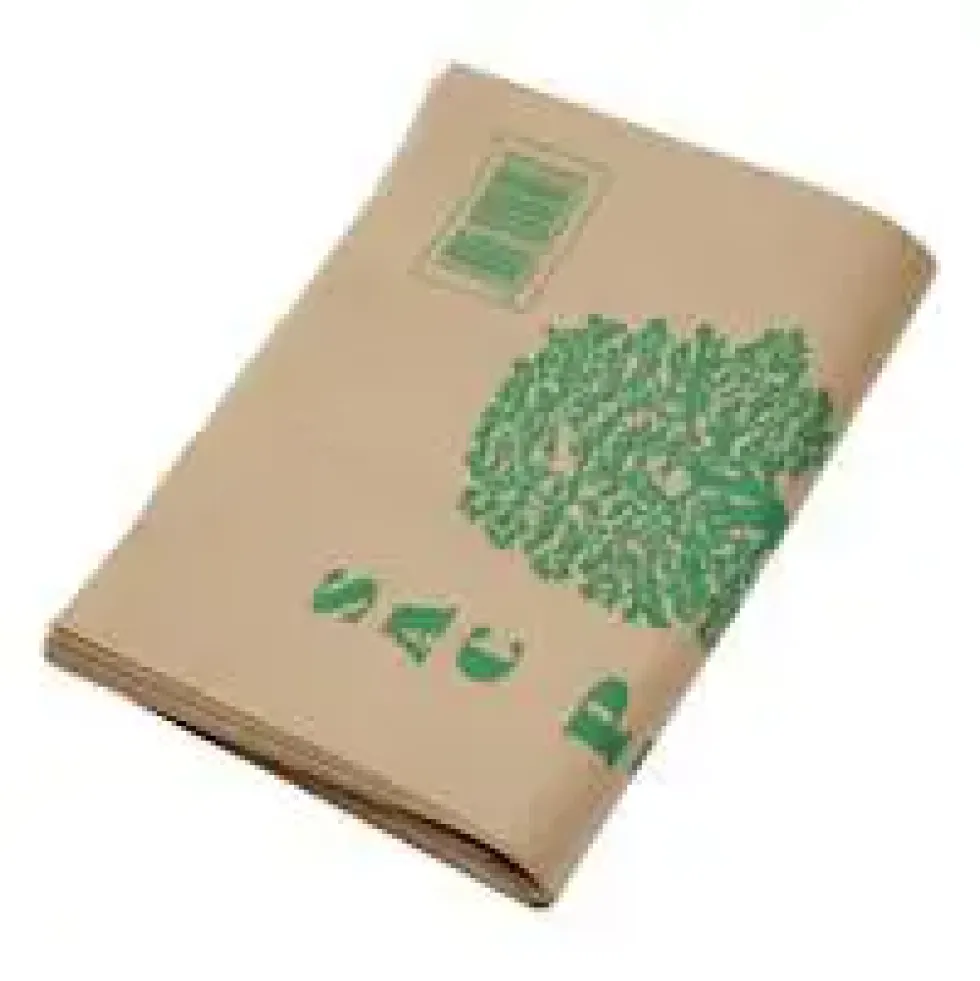 Sac Kraft 100 L - les 10 pièces