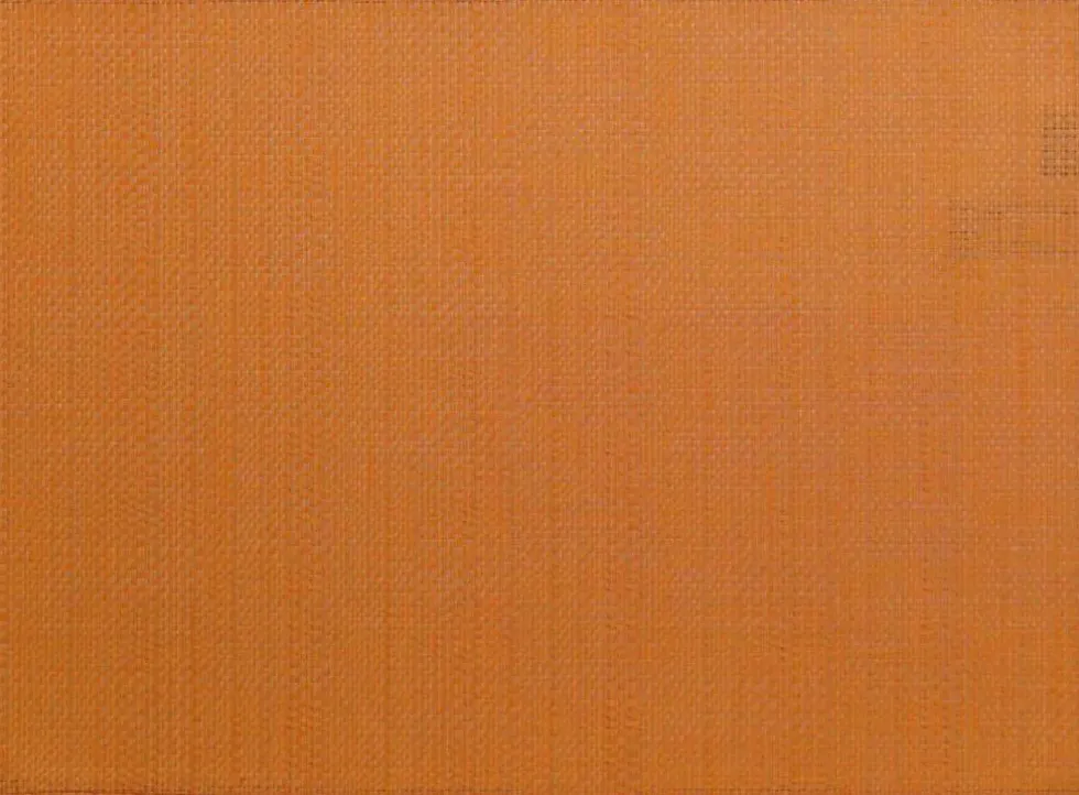 Set de table canna coloris orange en coton - 33 x 45 cm