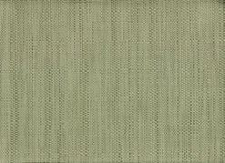 Set de table PVC et polyester coloris matcha Canna - 45 x 33 cm