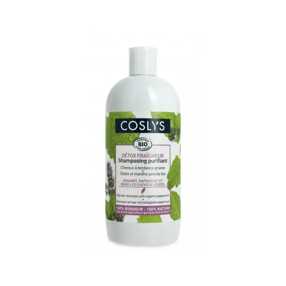 Shampoing cheveux gras 500 ml