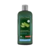 Shampoing hydratant à l’aloe vera bio en flacon de 250 ml