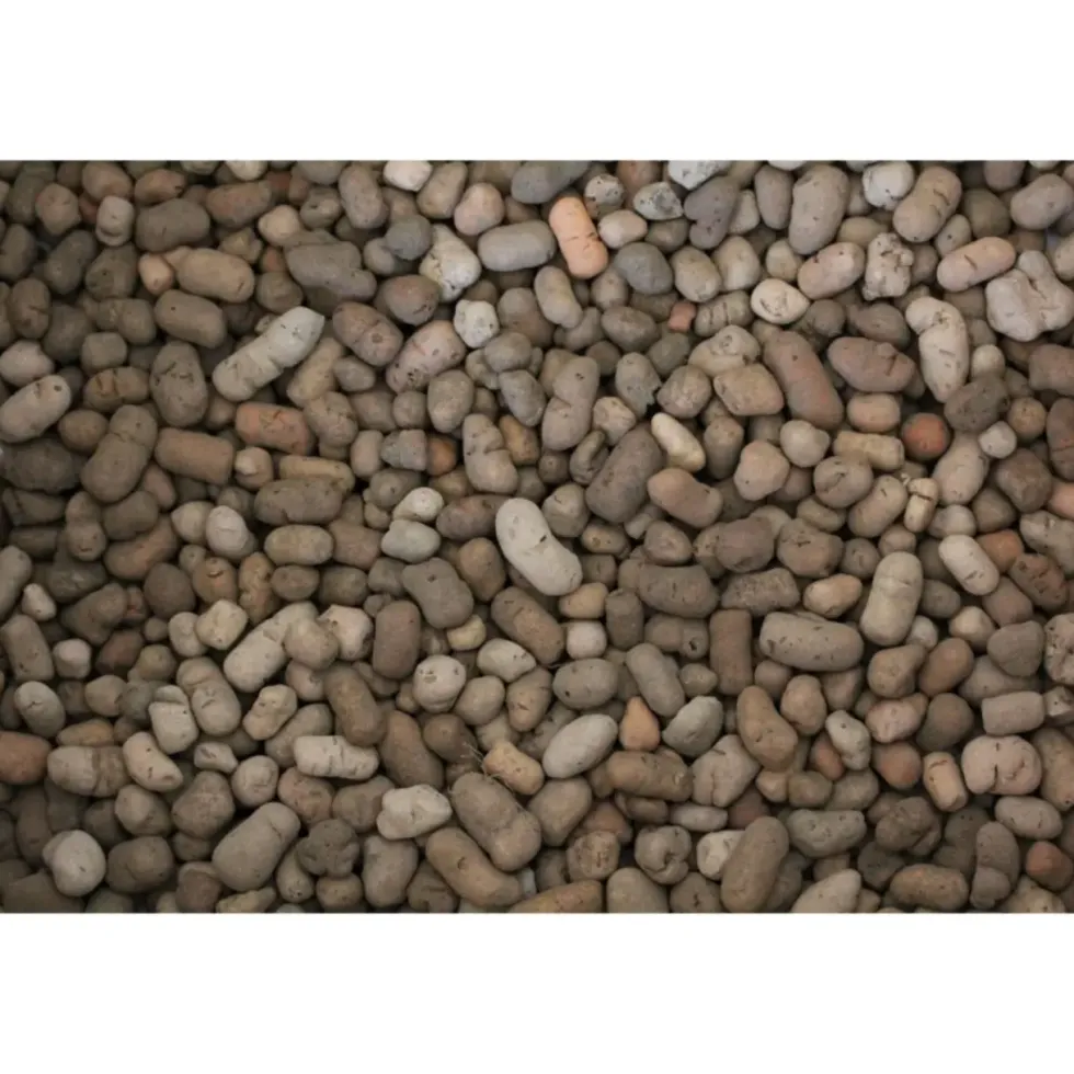 Substrat de drainage pour vivarium tropical coloris gris Reptile Planet Hydro Clay - 6 L