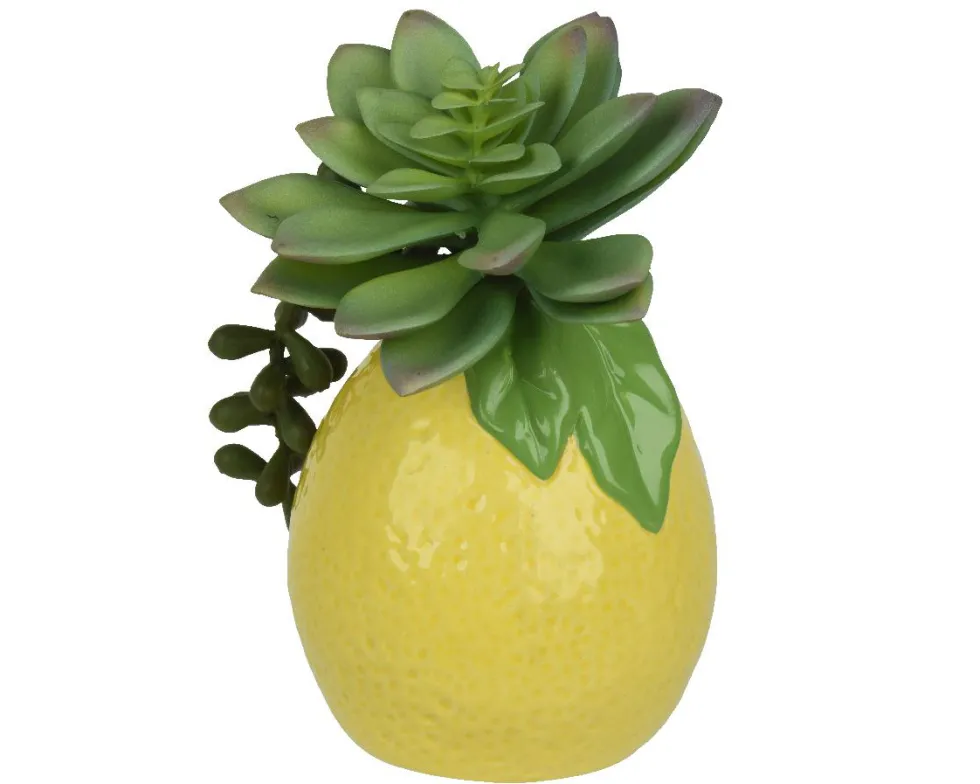 Succulente et pot citron en dolomite jaune - 9 x 8 x 14 cm