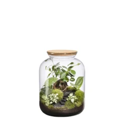 Terrarium autonome Bonbonne Landscape botanic® - taille S