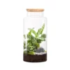 Terrarium autonome botanic® Jungle Classic - Taille L Ø 25 cm H 40 cm
