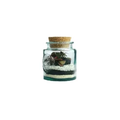 Terrarium autonome Mao M botanic® - Ø 10 x 13 cm