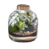 Terrarium autonome Mensa M botanic® - Ø 10-23 x 28 cm