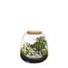 Terrarium autonome Moly M Landscape botanic®