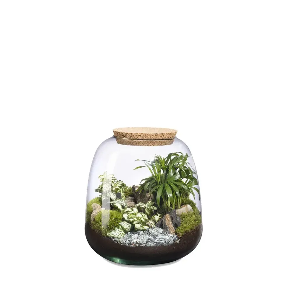 Terrarium autonome Moly M Landscape botanic®