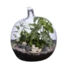 Terrarium Pomme Naturalys - Ø 19 × 20 cm