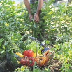 Terre de plantation potager et verger botanic® - 30 L