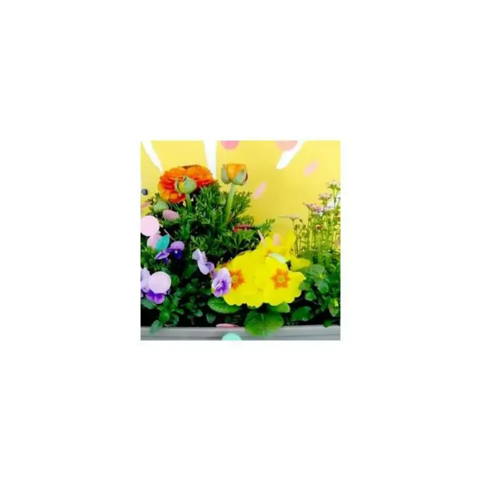 Thème Printemps Petillant - Le pot de 3 litres