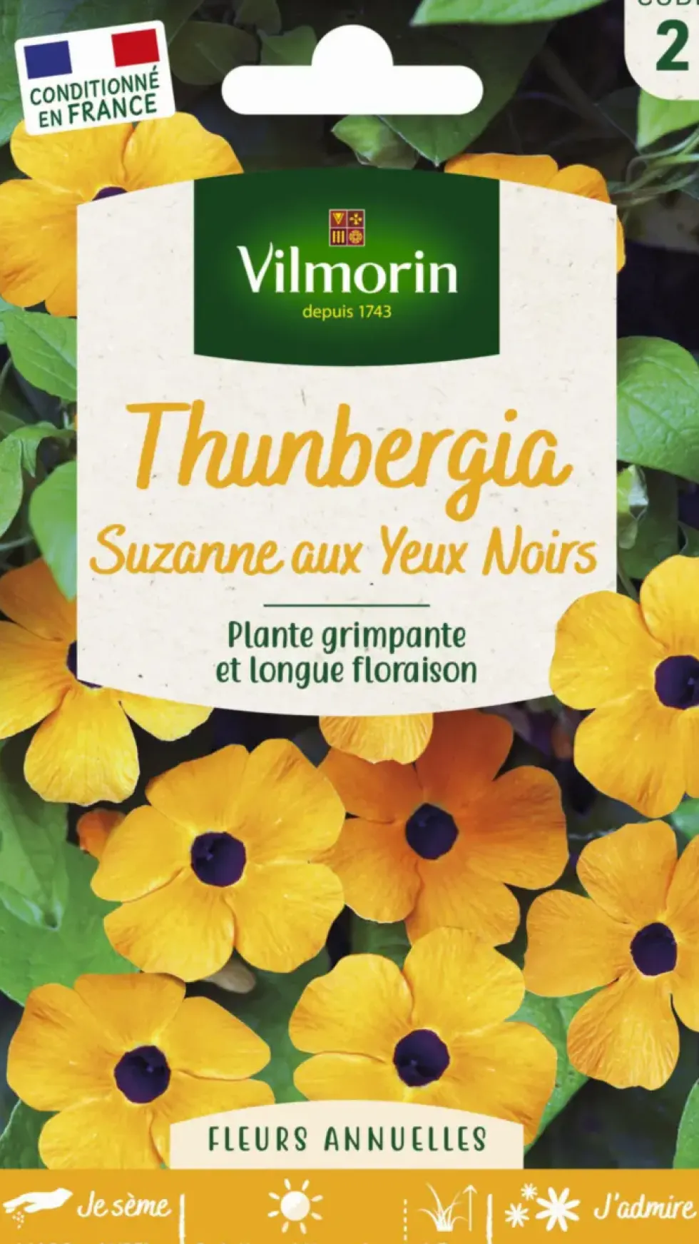 Thunbergia Suzanne aux yeux noirs Vilmorin - graines à semer
