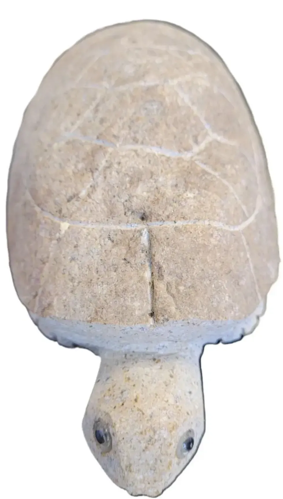 Tortue en granit taupe Vitis in Situ - 10 cm