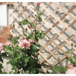 Treillis extensible Trelliwood en bois, 100 x 200 cm
