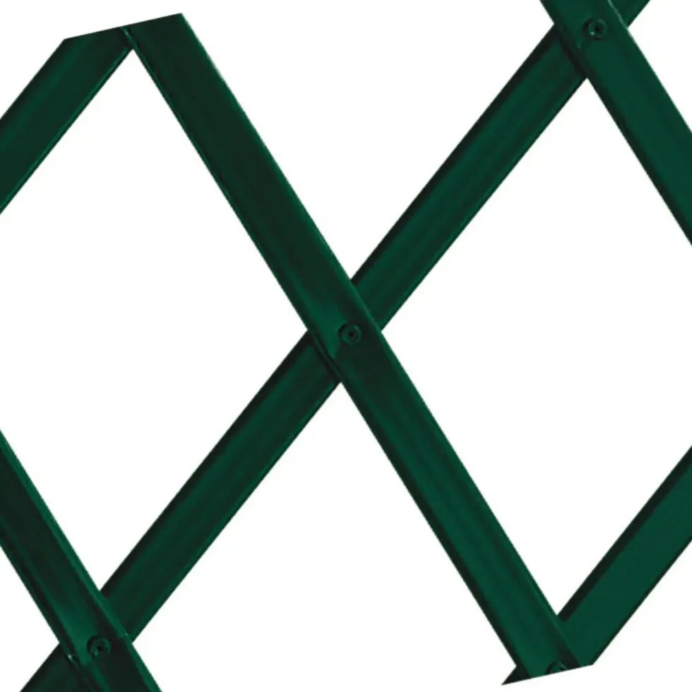 Treillis extérieur Treilliflex en PVC, coloris vert, 100 x 200 cm