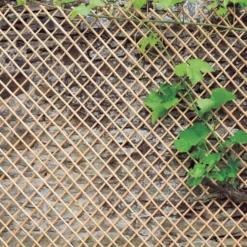 Treillis Wick Trellis en osier naturel, 100 x 200 cm