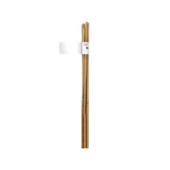 Tuteur bambou naturel coloris beige Ø 8/10 mm x 0,90 m