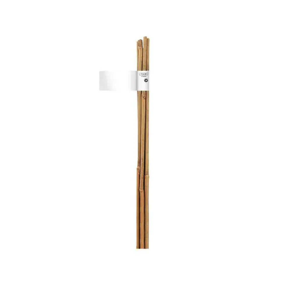 Tuteur bambou naturel coloris beige Ø 8/10 mm x 0,90 m