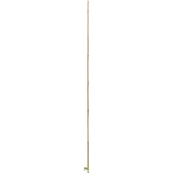 Tuteur bambou naturel coloris beige H 1,80m x Ø 10-12 mm