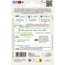 Verveine officinale Vilmorin - graines à semer