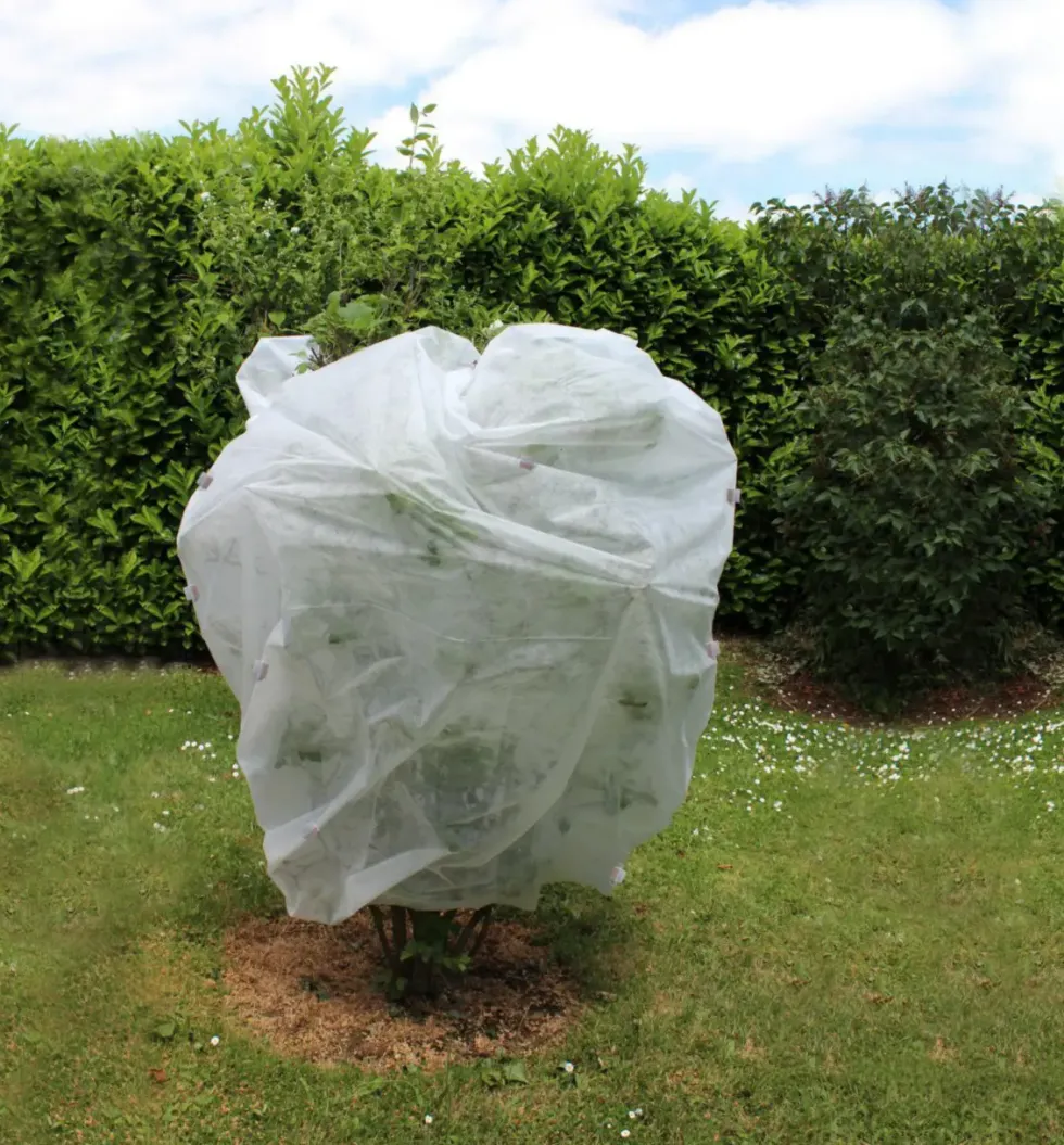 Voile d'hivernage pour plante extérieure Jany France 30 g/m2 - 10 m